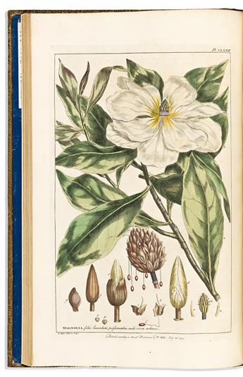 (BOTANICAL.) Philip Miller. Figures of the Most Beautiful, Useful, and Uncommon Plants Described in the Gardeners Dictionary.